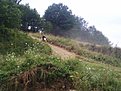 PIC 0671