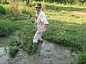 IMG 4437