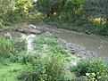 IMG 4461