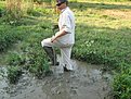 IMG 4435