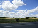 DSC00599