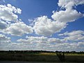 DSC00598