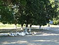 DSC00622
