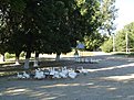 DSC00621