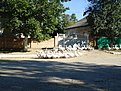 DSC00619