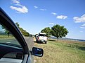 DSC00617