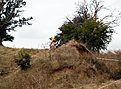 P9256987