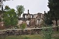 DSC 0082