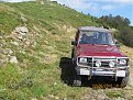 IMG 0917