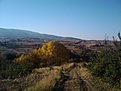 IMG 20101023 165436