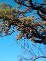 IMG 20101023 170309