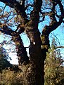 IMG 20101023 170226