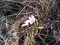 IMG 20101023 171225
