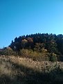 IMG 20101023 165534