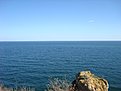 DSC03294