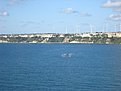 DSC03320