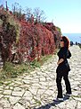 DSC03299