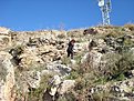 DSC03306