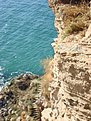 DSC03317