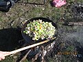 IMG 1375