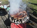 IMG 1385