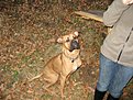 IMG 0026