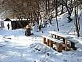 spisarevski 023
