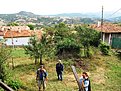 IMG 5527