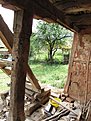 IMG 5512