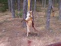 Photo 0173