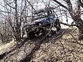 DSC00239