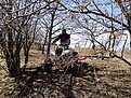 DSC00242