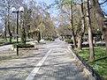 Image00109