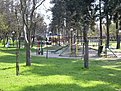 Image00111