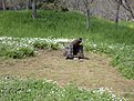 Image00160