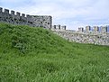 Image00177