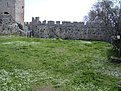 Image00185
