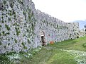 Image00186