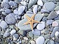 Image00197