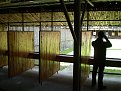 P1010347