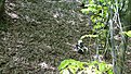 DSC00829