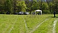 DSC00803