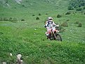 DSC06522