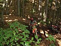 DSC06505