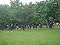 DSC06527
