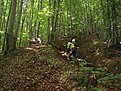 DSC06508