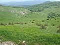 DSC06520