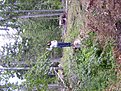 DSCF0675