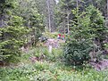 DSCF0670
