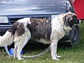 DSCF0590